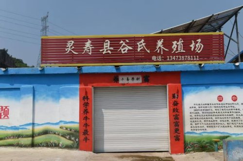 灵寿县谷氏养殖场