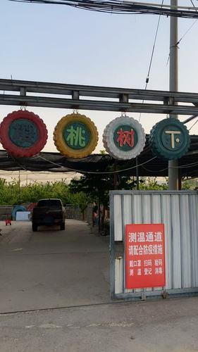 樱桃树下烤全羊
