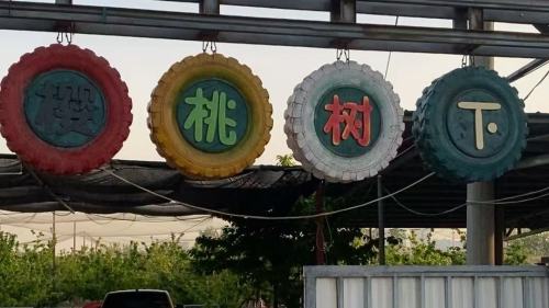 樱桃树下烤全羊