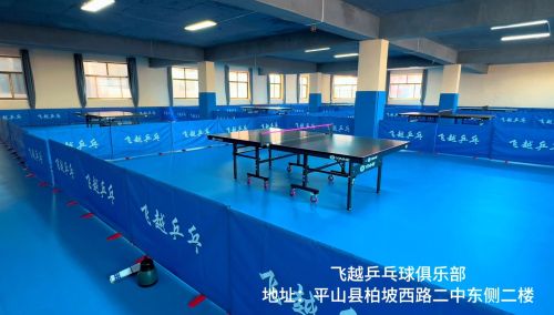 飞越乒乓球俱乐部