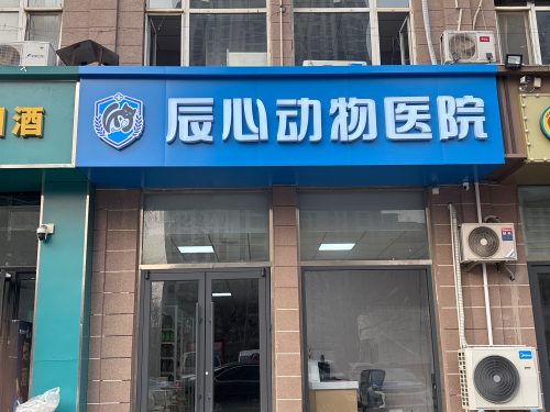 辰心动物医院