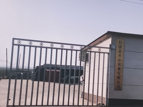 开心农业采摘基地