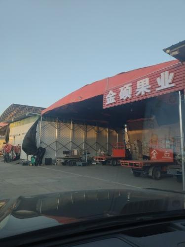 金硕果业