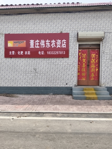 董庄伟东农资店