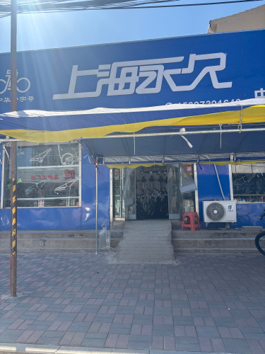 上海永久飞鸽自行车