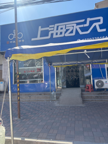 上海永久飞鸽自行车