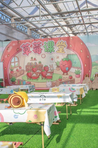 彩虹农场