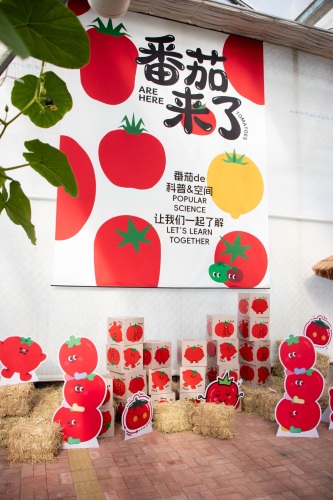 彩虹农场