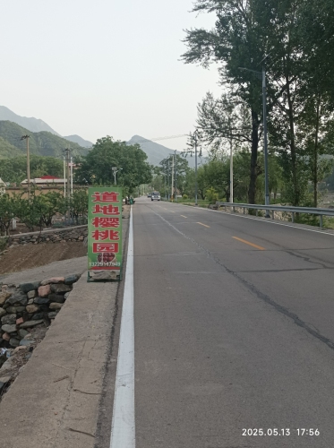 道地樱桃园