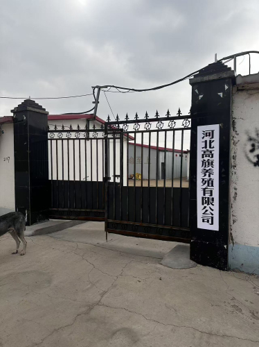 河北高旗养殖有限公司