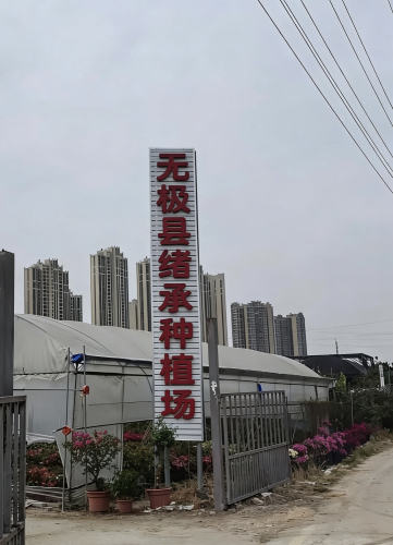 无极县绪承种植场
