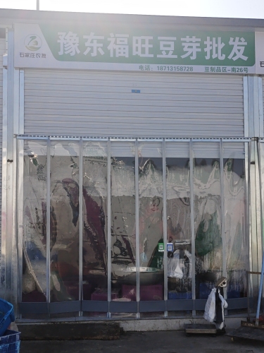 豫东福旺豆芽批发