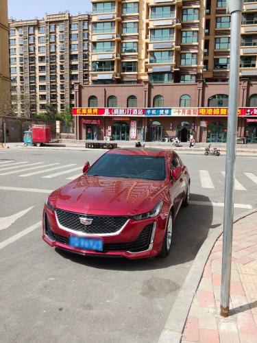 闪鲜熊精酿打酒站(铜冶店)