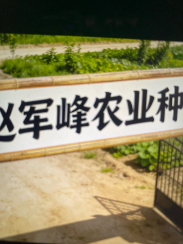赵军峰农业种植园