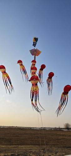 深泽县风筝放飞场