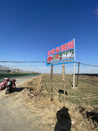 墩墩采摘园