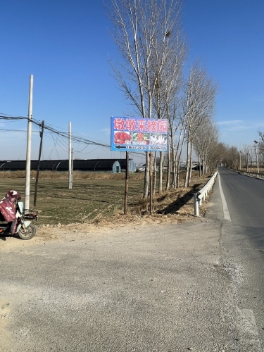 墩墩采摘园