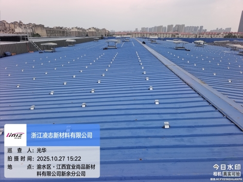 浙江凌志新材料有限公司