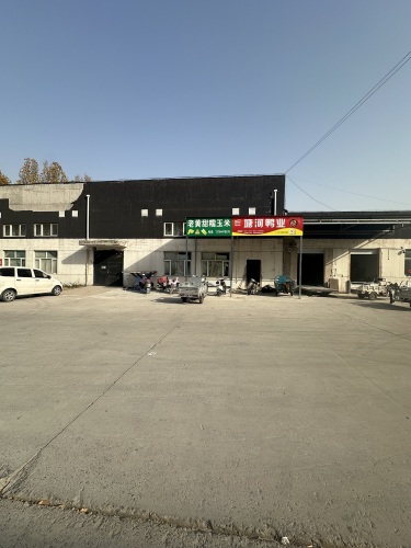 塘河鸭业A