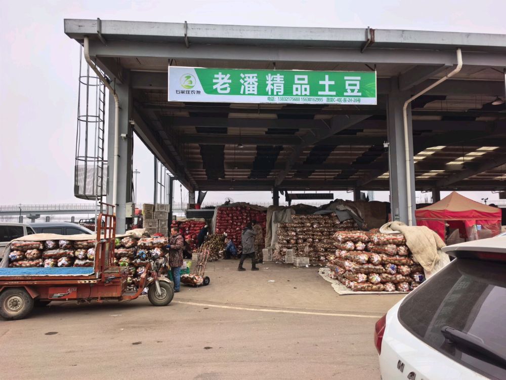 老潘精品土豆