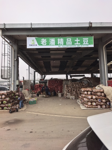 老潘精品土豆