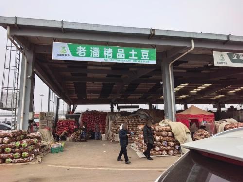 老潘精品土豆