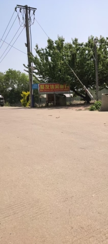 聚友休闲垂钓