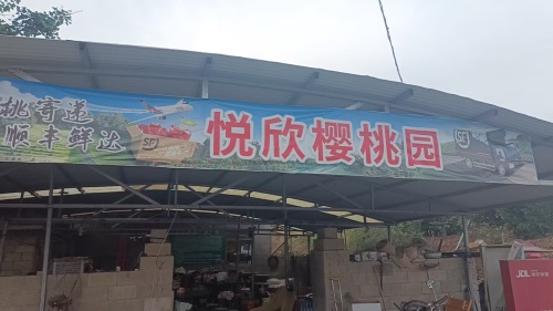 河北省悦欣樱桃采摘示范园区