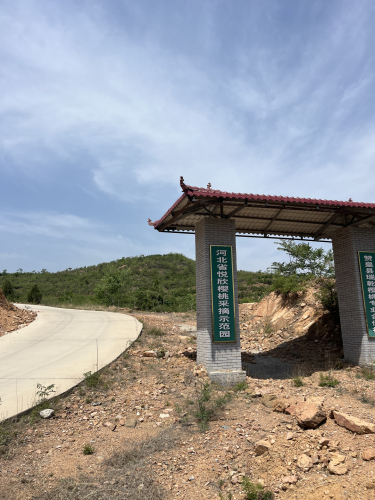 河北省悦欣樱桃采摘示范园区