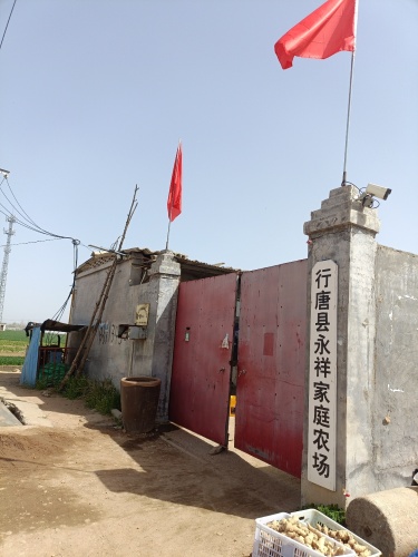 行唐县永祥家庭农场