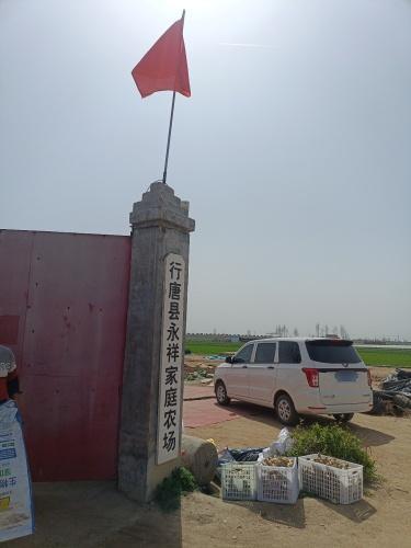行唐县永祥家庭农场