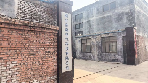 河北帝森电气科技有限公司