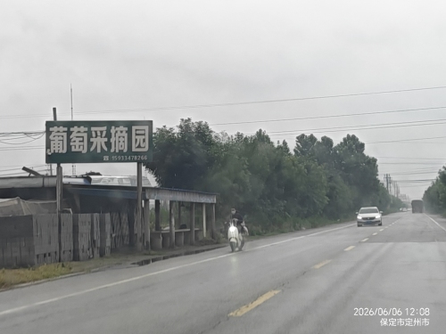 葡萄采摘园
