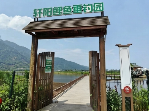 轩阳鲤鱼垂钓园