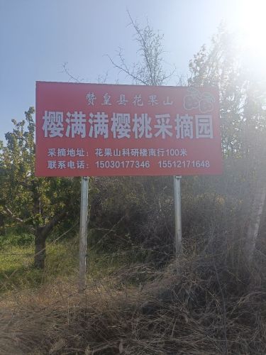 赞皇县花果山樱满满樱桃采摘园