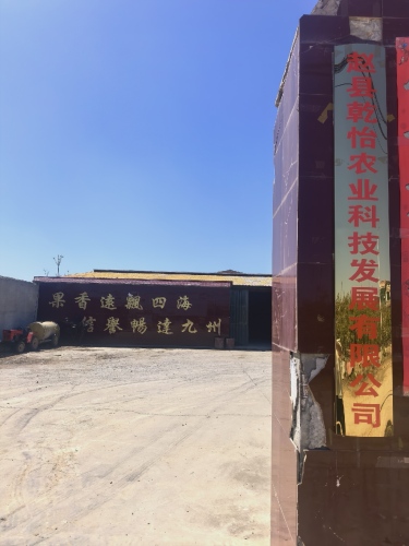 赵县乾怡农业科技发展有限公司