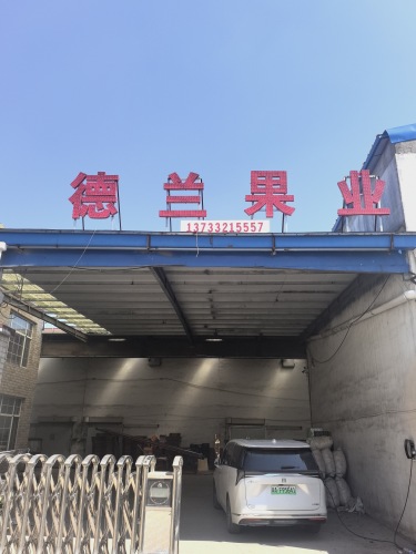 德兰果品库