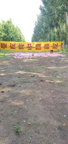 辛集弹弓打靶场