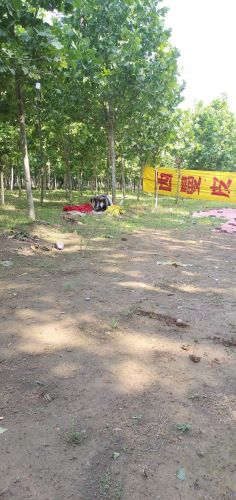 辛集弹弓打靶场