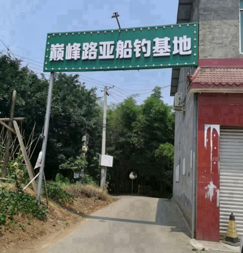 巅峰路亚船钓基地
