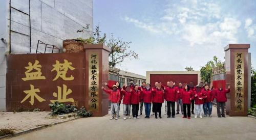 河北益梵木业有限公司