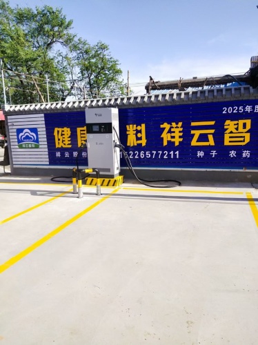 特来电汽车充电站(赵县大安村西口充电站)