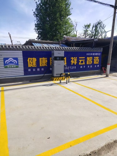 特来电汽车充电站(赵县大安村西口充电站)