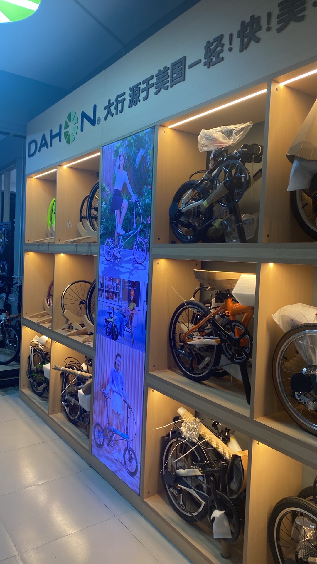 DAHON大行自行车(藁城店)