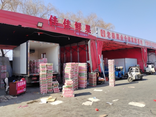 佳佳鲜果