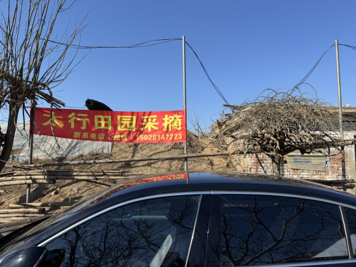 太行田园采摘园