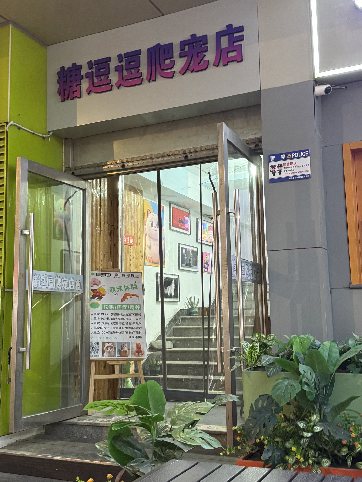 糖猫猫撸猫馆(湾里庙店)
