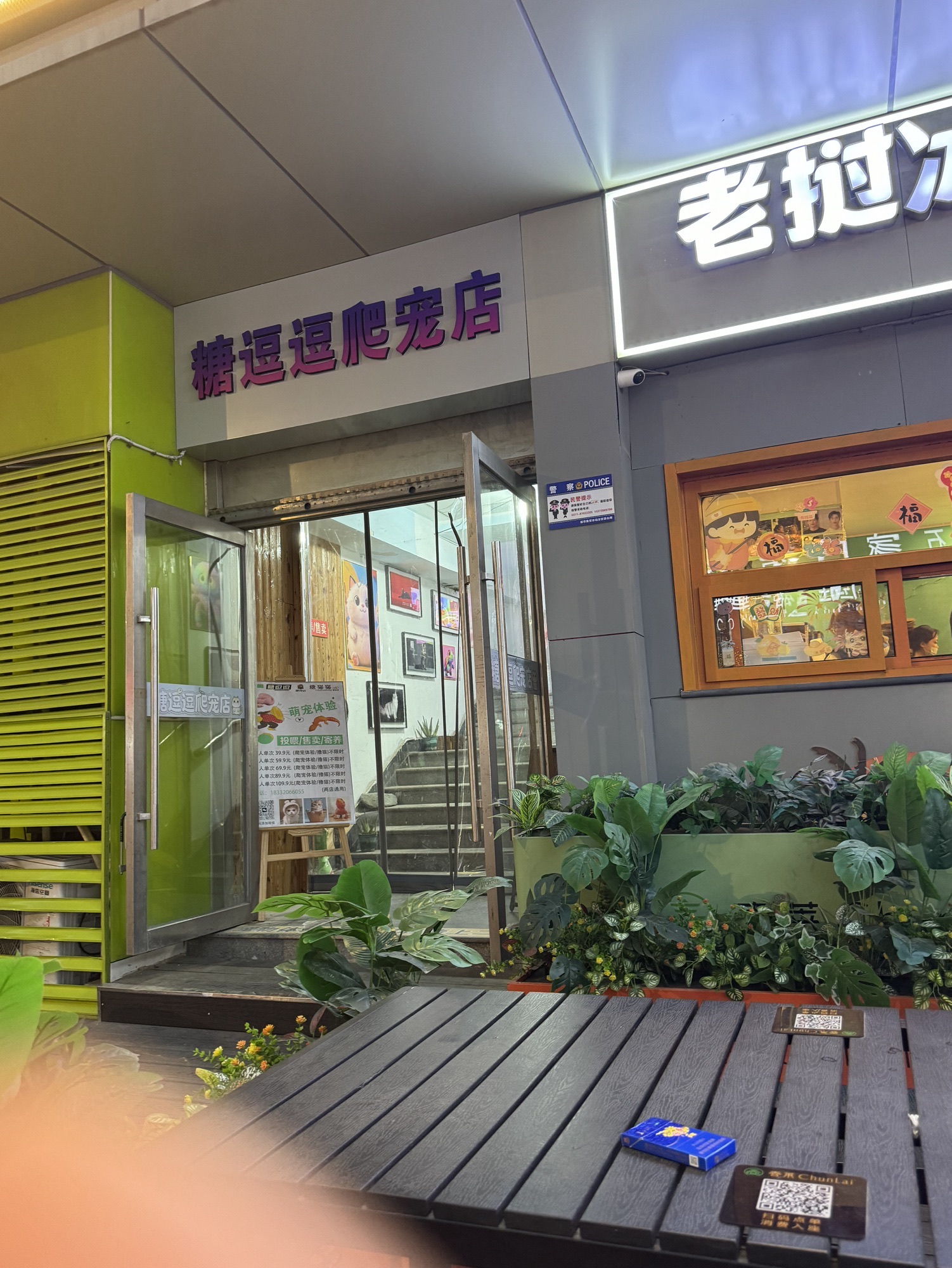 糖猫猫撸猫馆(湾里庙店)