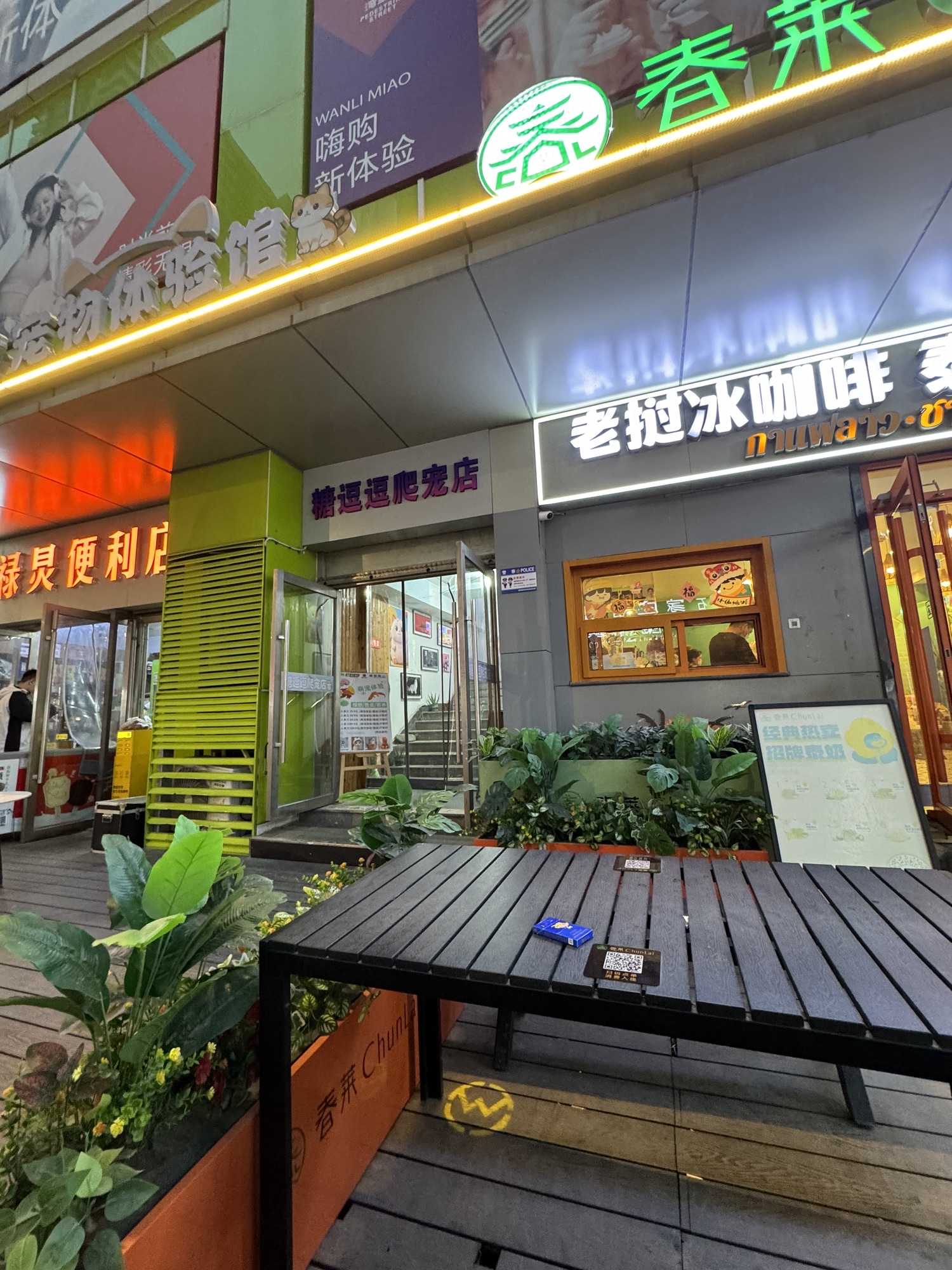 糖猫猫撸猫馆(湾里庙店)
