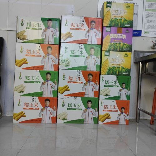 张家口鲜食玉米君海农鲜北方棒棒